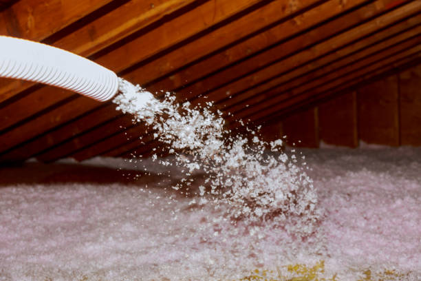 Best Batt and Roll Insulation  in Port Edwards, WI