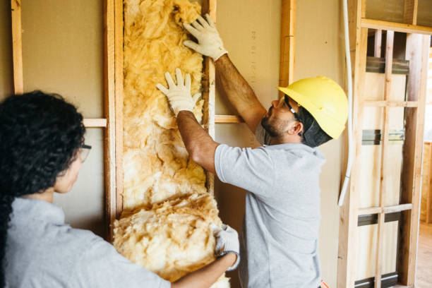 Best Insulation Air Sealing  in Port Edwards, WI